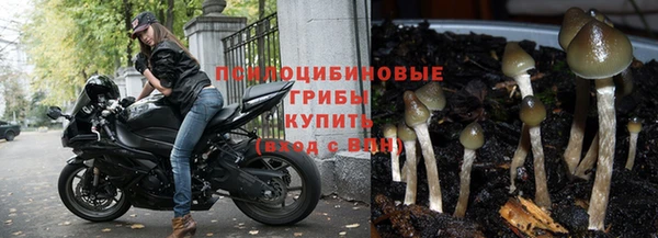 герыч Осташков