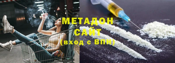 индика Каменногорск